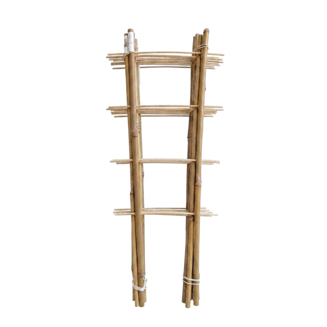 Bambusa trepītes ar diviem balstiem 45cm