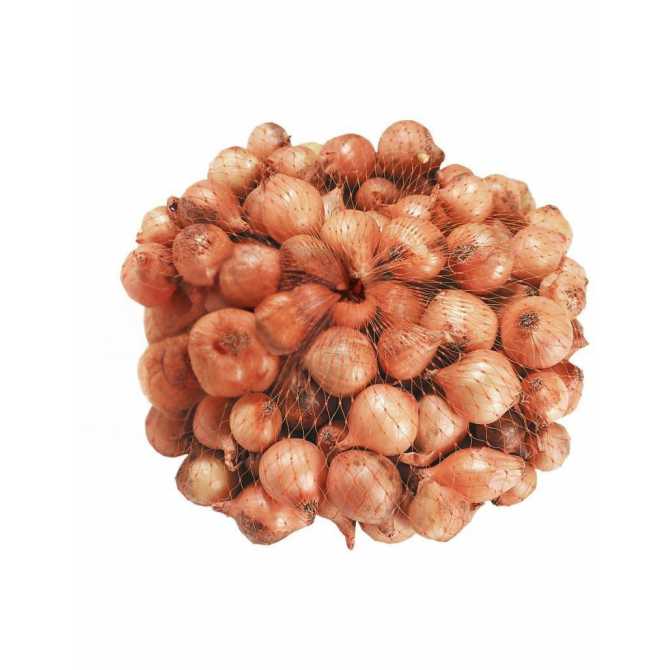 Sīksīpoli lokiem fasēti Stuttgarter Riesen 25-36mm 20kg/40pac (1pac/0.5kg) 