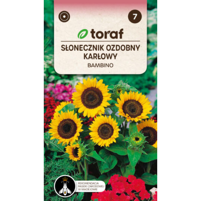 Saulespuķe zemā  Bambino 0.5g