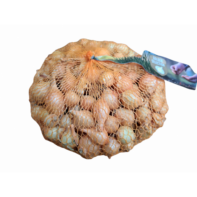 Sīksīpoli fasēti Stuttgarter Riesen 14/21mm 20kg/40pac (0.5kg/1pac)