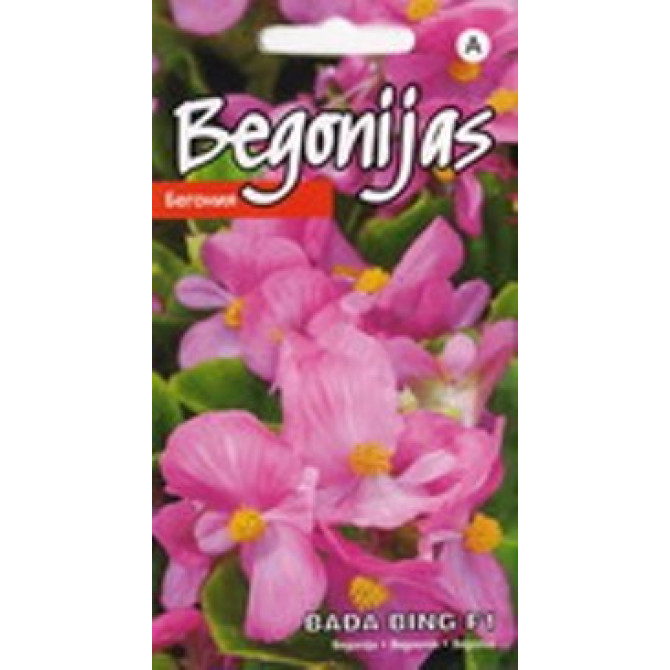 Begonijas - leduspuķes Bada Bing F1 15 sēklas