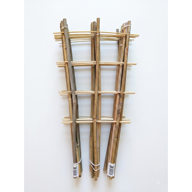 Bambusa trepītes ar trīs balstiem 45cm