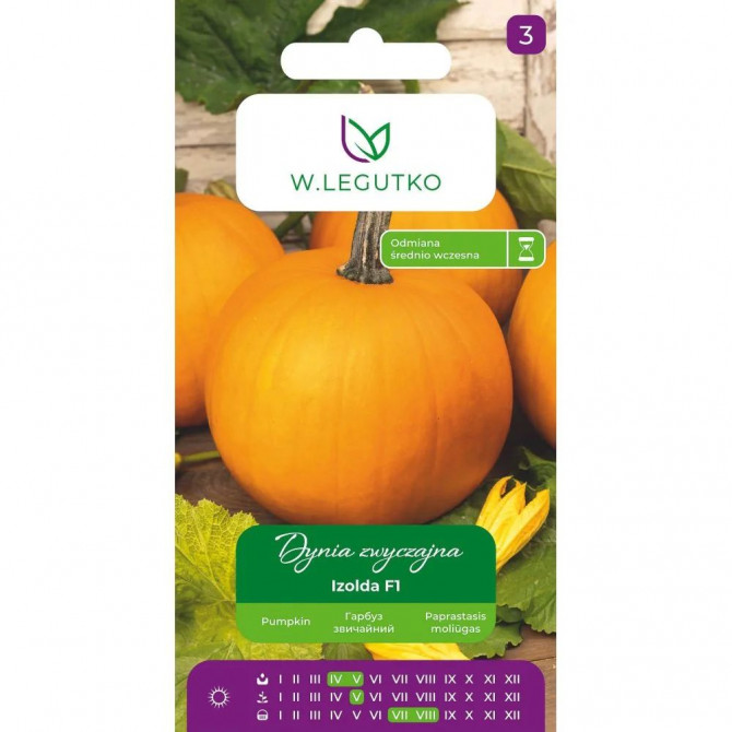 Ķirbis Izolda F1 3g