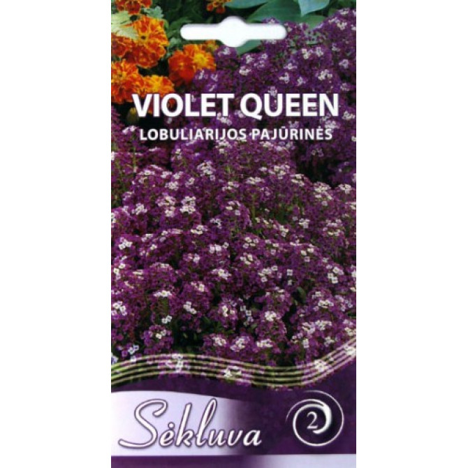 Alises Violet Queen 0.3g SEKLUVA