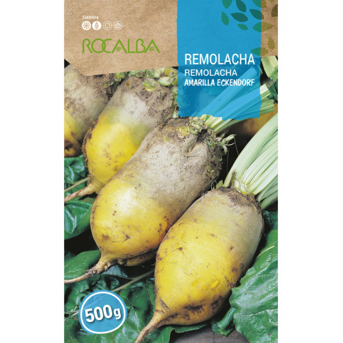 Lopbarības bietes Amarilla Eckendorf 500g