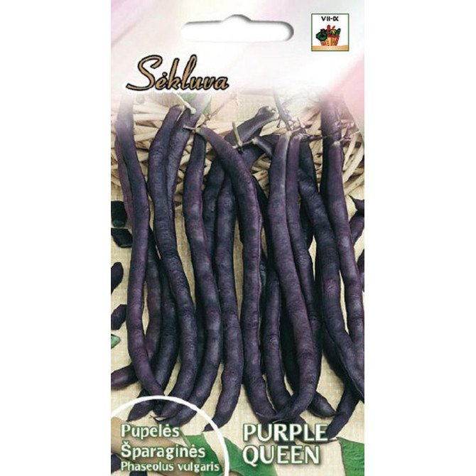 Pupiņas sparģeļu krūmu violetās PURPLE QUEEN 10g