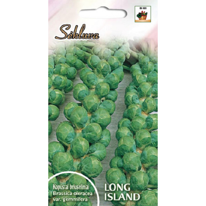 Kāposti Briseles - Rožkāposti LONG ISLAND 1g