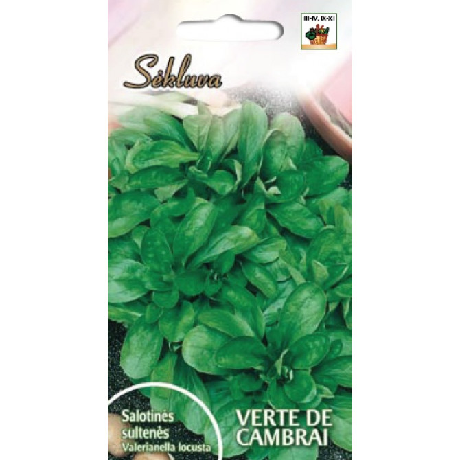 Salātu baldriņš (SEKLUVA) VERTE DE CAMBRAI 5g