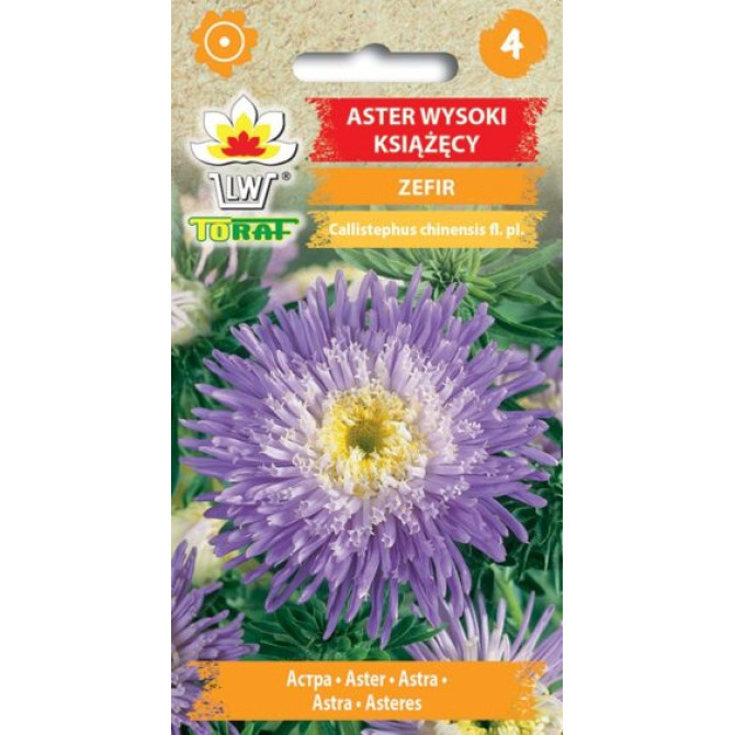 Asteres princešu Zefir 1g