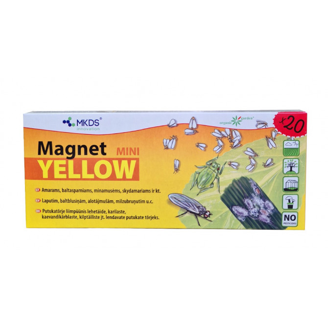 Magnet MINI Yellow 20gab