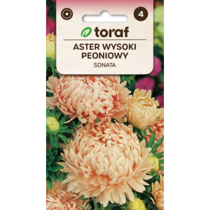 Asteres peoniju Sonata 1g