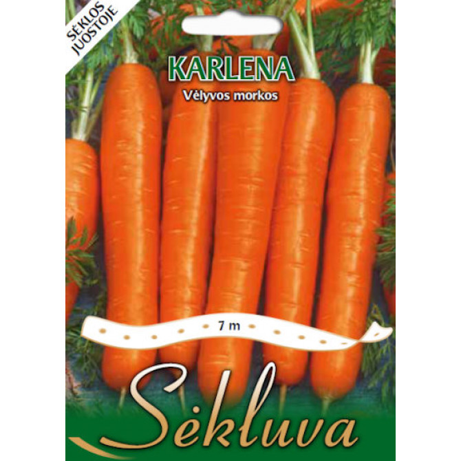 Burkāni uz lentes KARLENA 7m