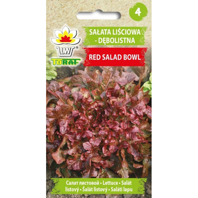 Salāti ozollapu sarkanie Red Salad Bowl 1g