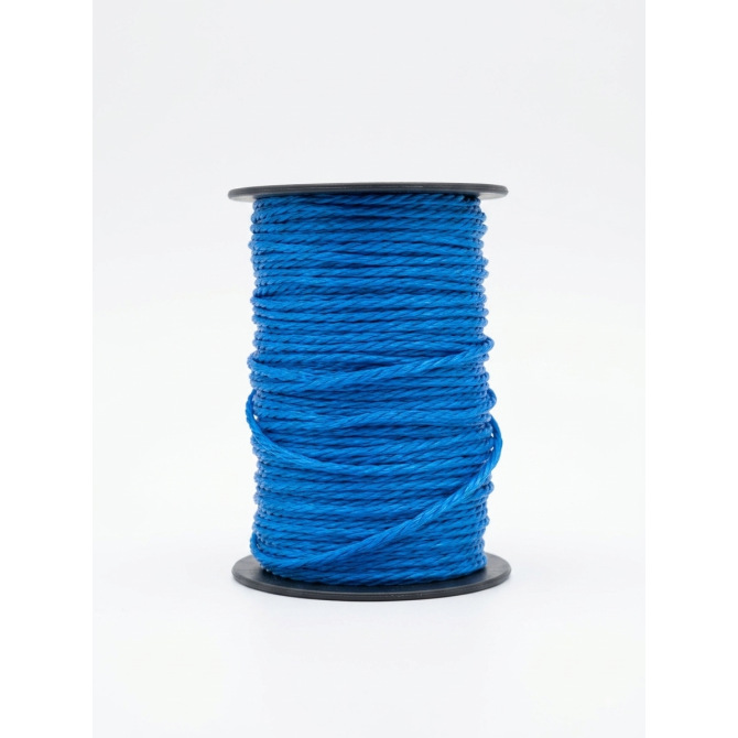 Aukla 2mm 100m zila