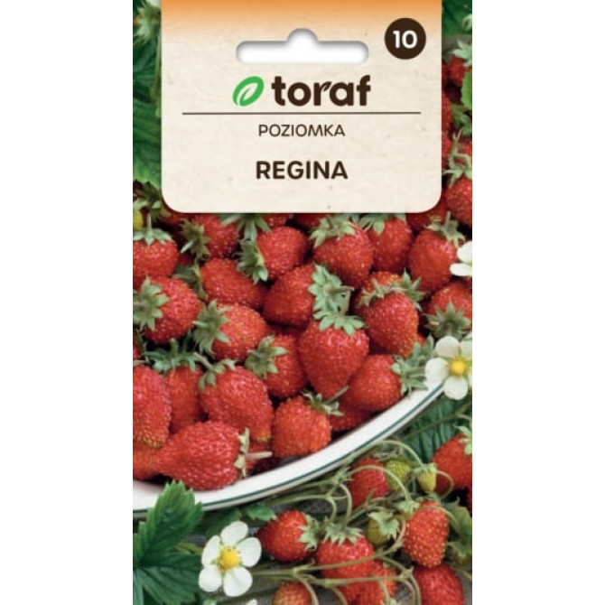 Dārza meža zemenes REGINA 0.1g