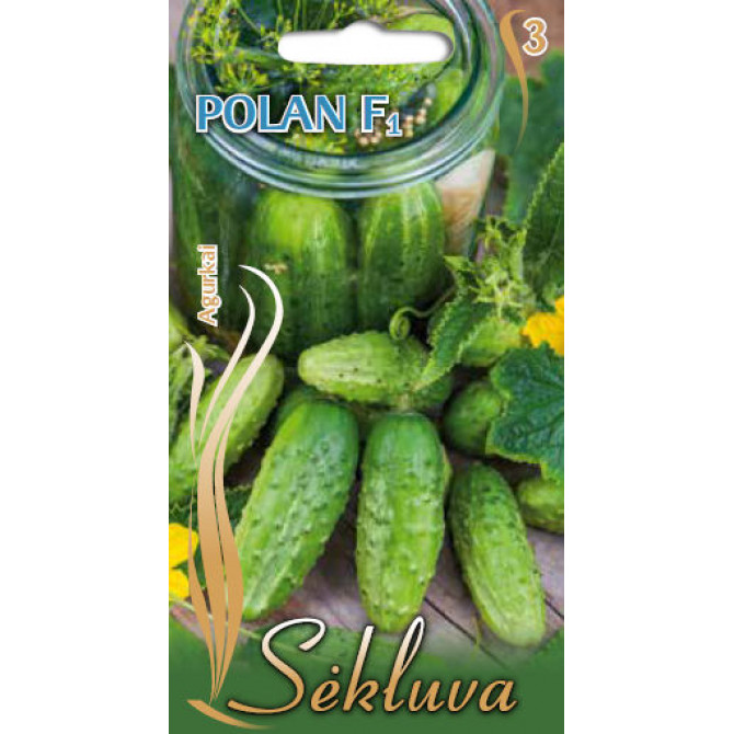 Gurķi POLAN F1, 2g