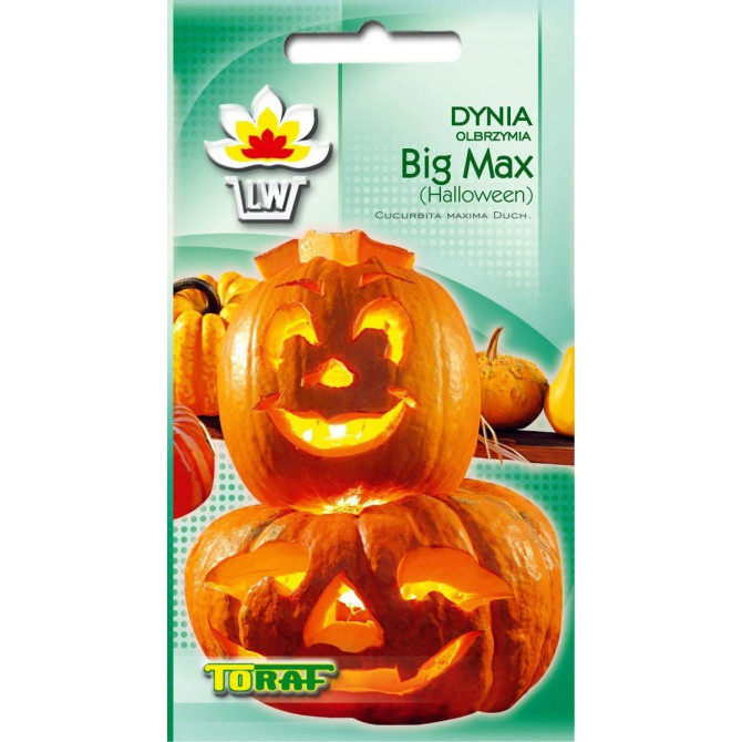 Ķirbis Big Max Halloween 4g