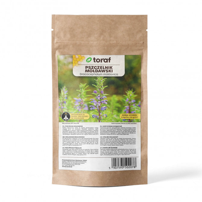 Pūķgalve Moldāvijas 100g