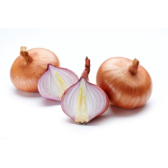 Sīksīpoli Ptujski Rdeca 14-21mm 10kg