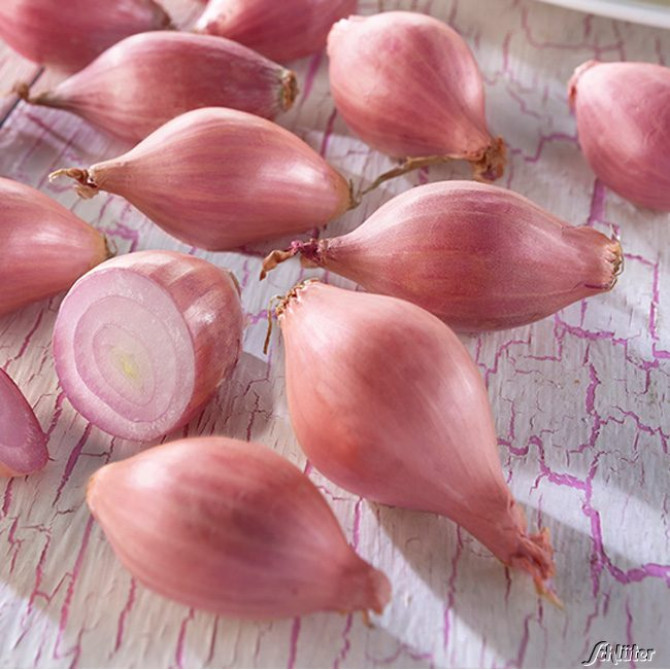 Sīksīpoli fasēti ROSANNA 14-21mm 20kg/40pac (0.5kg/1pac)