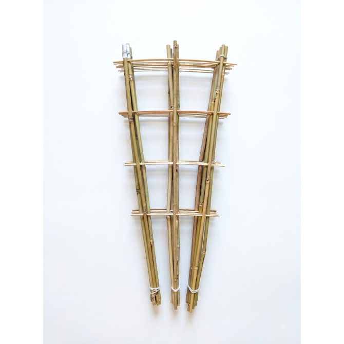 Bambusa trepītes ar trīs balstiem 60cm