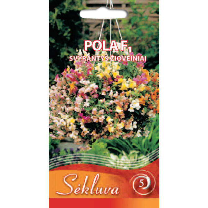 Lauvmutītes nokarenās POLA F1, 25 sēklas