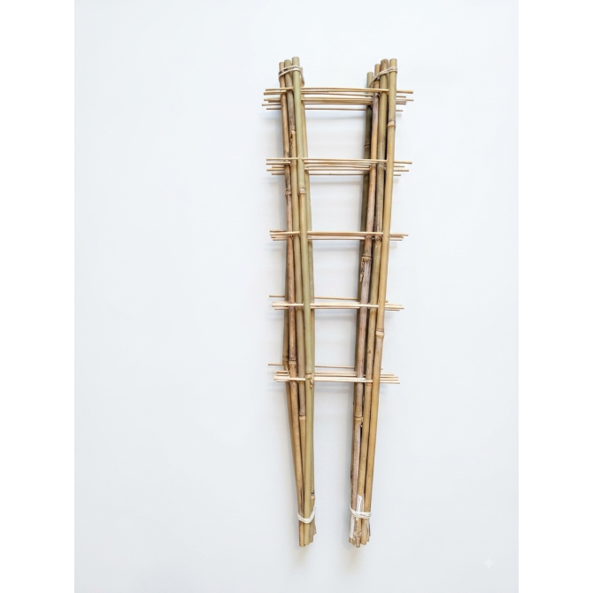 Bambusa trepītes ar diviem balstiem 60cm