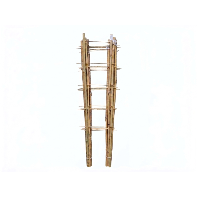 Bambusa trepītes ar diviem balstiem 90cm