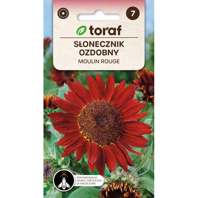 Saulespuķe MOULIN ROUGE garās 2g